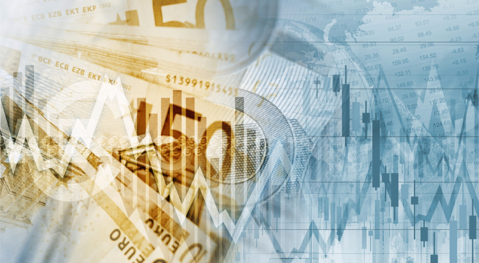 Fot. Shutterstock Polskie dopłaty bezpośrednie skandalicznie niskie
