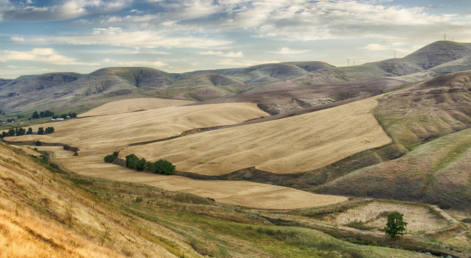 Fot.pixabay.com W USA spadają dochody rolników