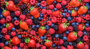 Kryzys na rynku owoców miękkich. Jakie rozwiązania ma MRiRW?