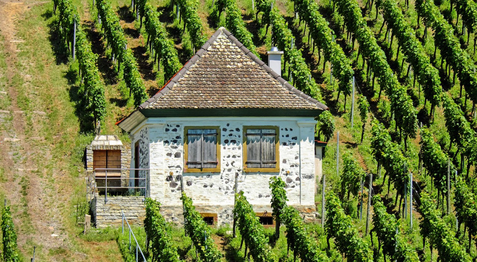 Fot. pixabay.com KE: Nowe przepisy dotyczące produkcji wina w UE