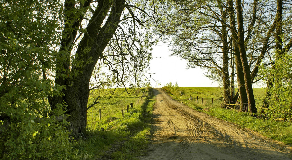 fot. pixabay.com Podkarpackie: ponad 13 mln zł na budowę dróg do gruntów rolnych