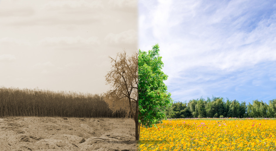 fot. Pixabay Susza nam niegroźna?