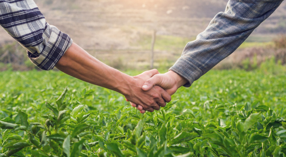 fot. shutterstock Kolejny nabór wniosków na "Tworzenie grup producentów i organizacji producentów"