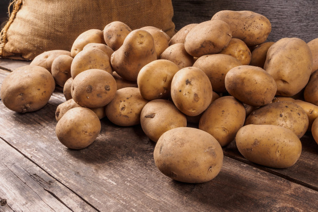 Francja: Największe zbiory ziemniaków od 30 lat