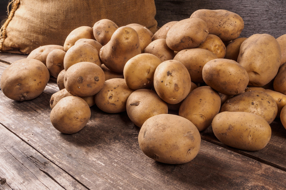 WE Francji zbiory ziemniaków w 2020 roku szacowane są na około 8,67 mln ton, co byłoby najlepszym zbiorem w ciągu ostatnich 30 lat; Fot Shutterstock