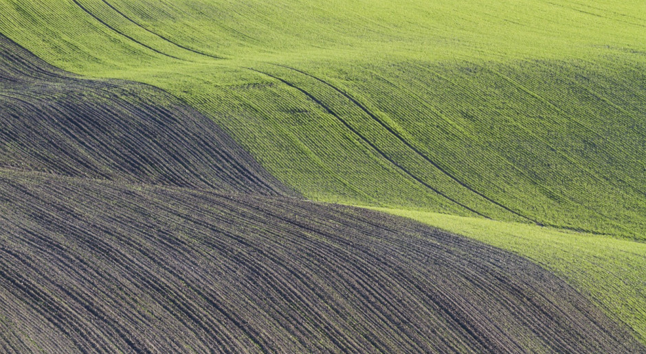 Fot. pixabay.com Rosja: Siew roślin jarych przeprowadzono na 32,1 mln ha