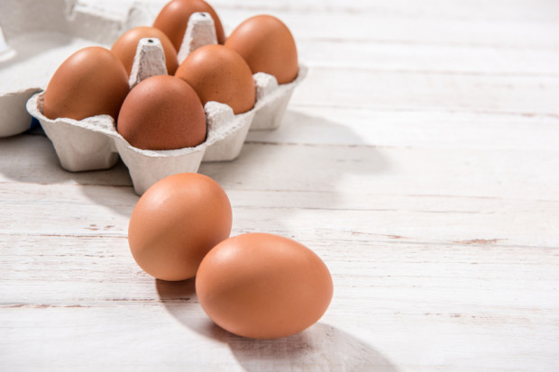 Jajka skażone pałeczkami salmonelli