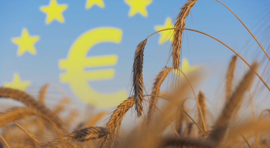 Fot. Shutterstock Średnie dopłaty dla rolników w UE 259 euro, w Polsce nieco ponad 200