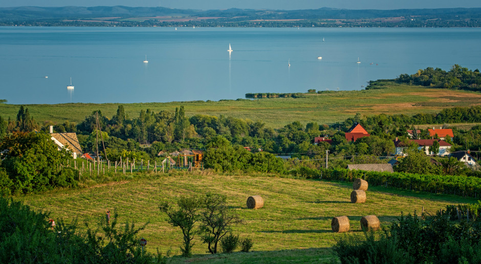 Fot. Shutterstock TSUE: przepisy na Węgrzech ws. gruntów rolnych były złamaniem prawa UE