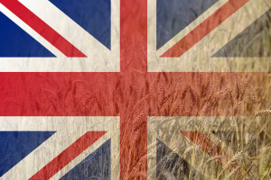 Znacznie spadły dochody brytyjskich rolników 