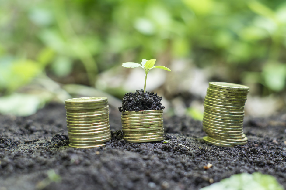 Po wprowadzeniu zasad Zielongo Ładu można liczyć na wzrost kosztów produkcji rolnej, fot. Shutterstock