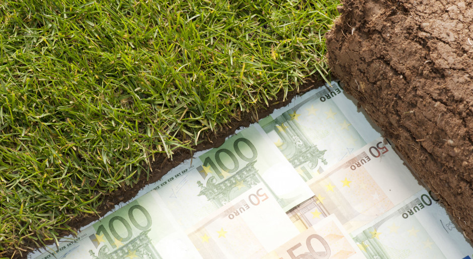fot. Shutterstock Ruszają nabory wniosków z PROW: dla młodych, na restrukturyzację i zalesianie