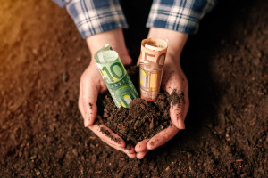 ARiMR: rolnicy złożyli już blisko milion wniosków ws. dopłat bezpośrednich