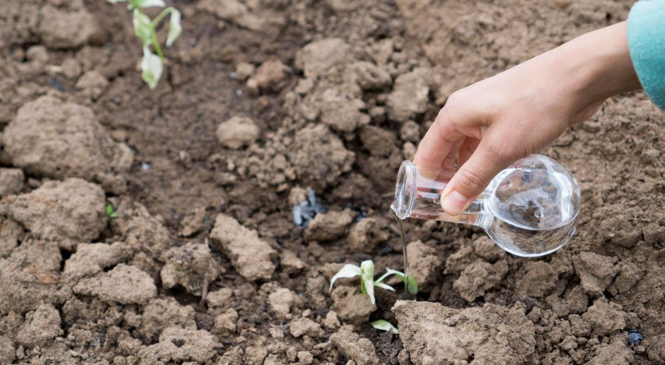 fot. Shutterstock Nowy raport IUNG PIB – czy nadal występuje zagrożenie suszą?