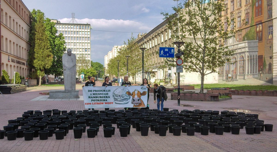Akcja Vivy! w centrum Łodzi pod lokalem sieci Mc'Donald Foto: GT Wegetarianizm ratunkiem dla planety?