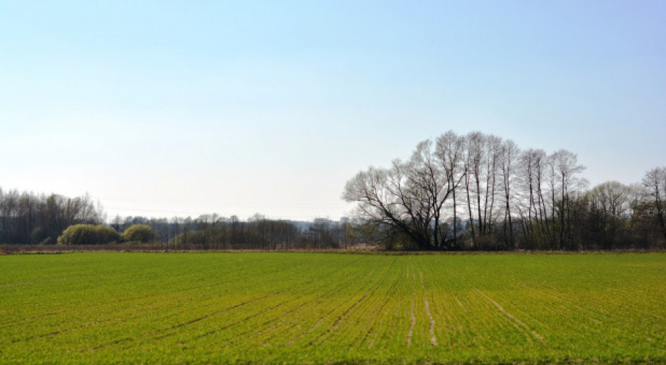 Fot.pixabay.com Rosja: Siew roślin jarych przeprowadzono na 39,3 mln ha