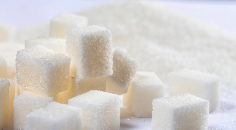 Rekordowa produkcja cukru w Rosji