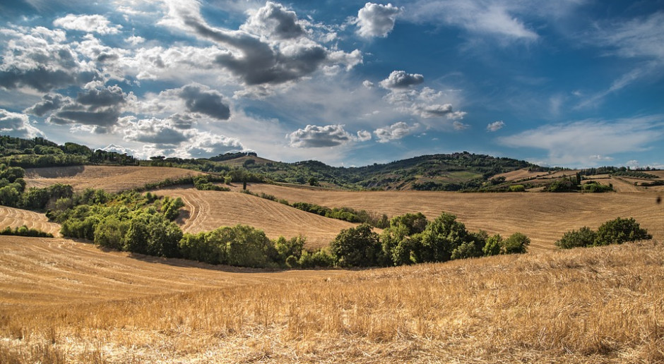 fot. Pixabay Bezumowny użytkownik to nie złodziej ziemi