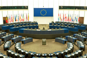 Z jaką reprezentacją będą rolnicy w Parlamencie Europejskim?