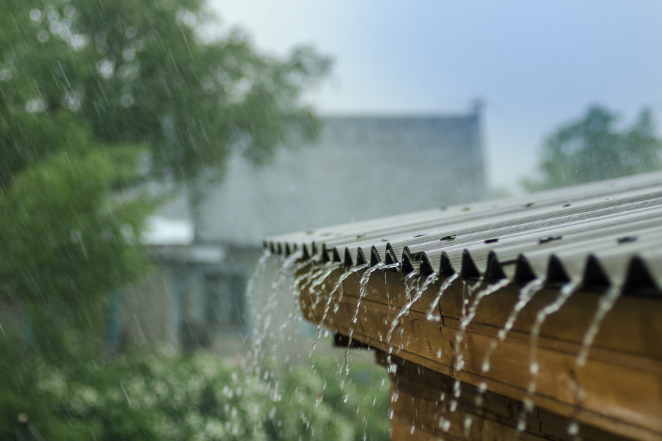 Co właściciel nieruchomości może zrobić, aby zwiększyć retencję wody? Foto. Shutterstock