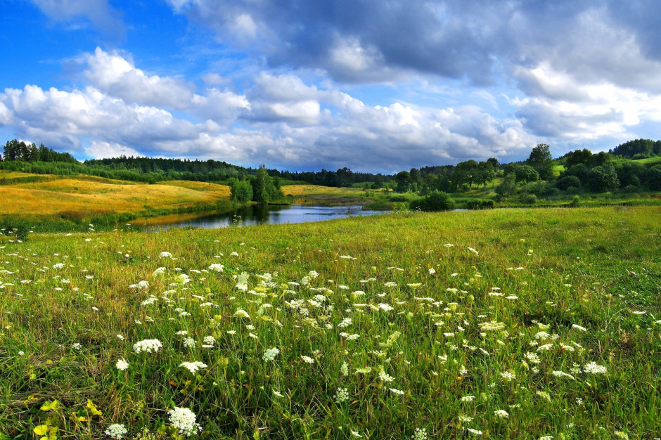 Polska ma w większym stopniu chronić i zarządzać obszarami sieci Natura 2000, fot. Shutterstock