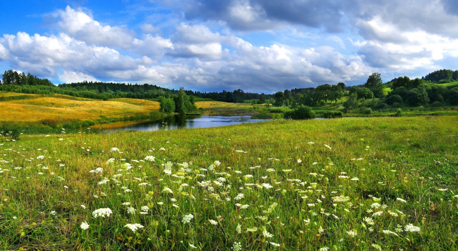 Fot. Shutterstock Ustawa ułatwiająca obrót ziemią rolną z podpisem prezydenta