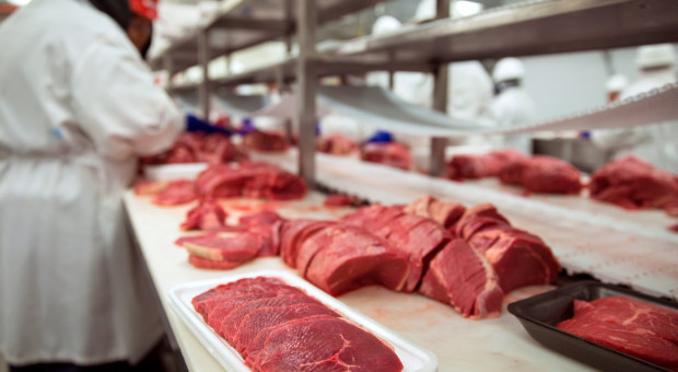 Kulikowski: Przepis o 1,5-metrowych odstępach między pracownikami wyzwaniem dla branży mięsnej