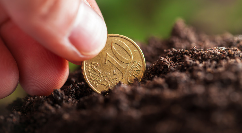 fot. Shutterstock Upływa termin naboru wniosków o dopłaty bezpośrednie