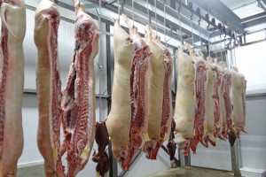 Chiny wstrzymują import wieprzowiny z Niemiec