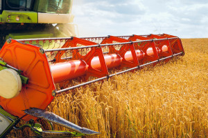 Ukraina może zwiększyć  w 2021 r. produkcję zbóż o 10-15 proc.