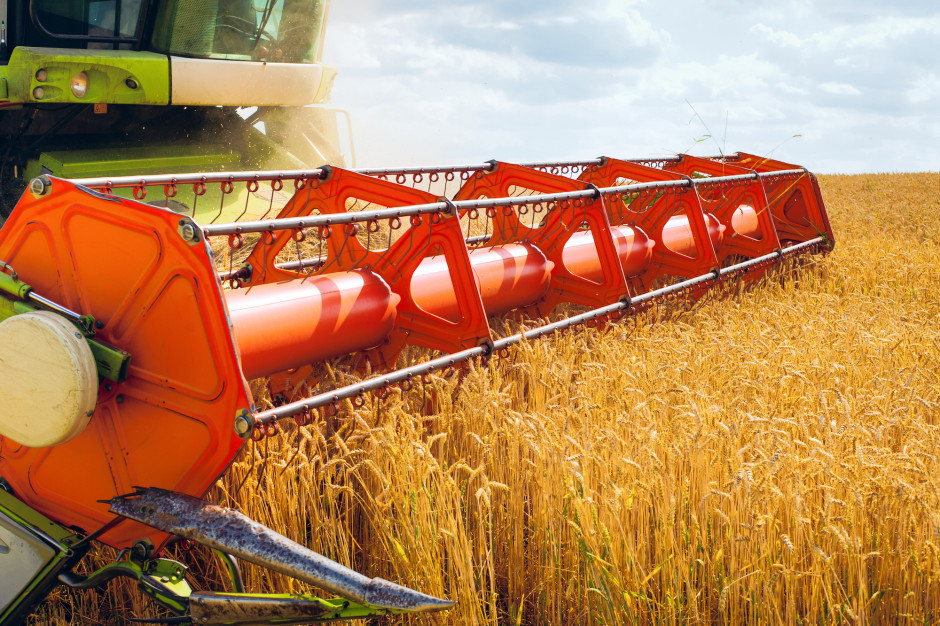 KSG Agro: Produkcja zbóż w 2021 roku na Ukrainie może wzrosnąć o 10-15 proc.; Fot. Shutterstock