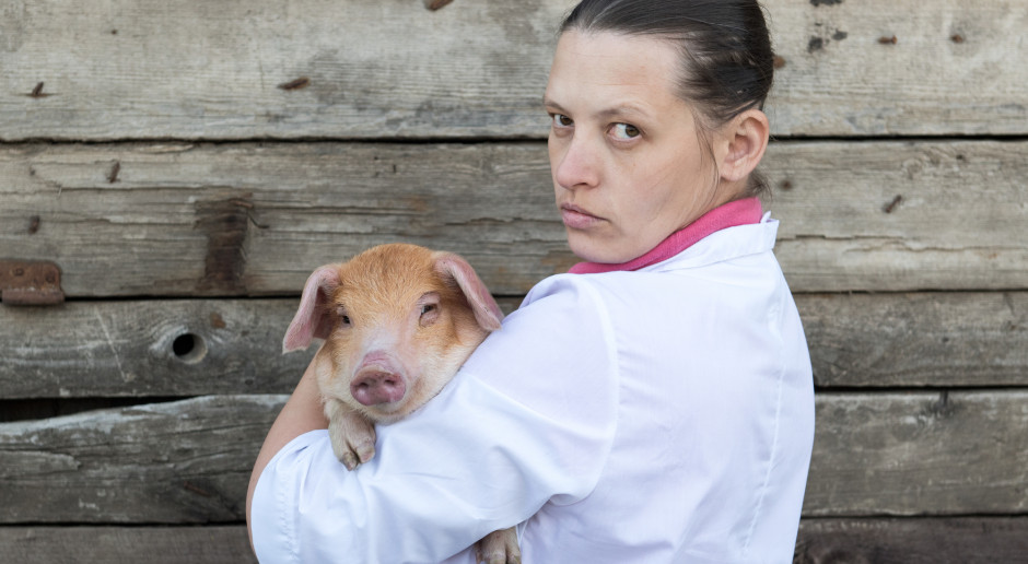 fot.Shutterstock.com Pracownicy Inspekcji Weterynaryjnej wyjdą na drogi