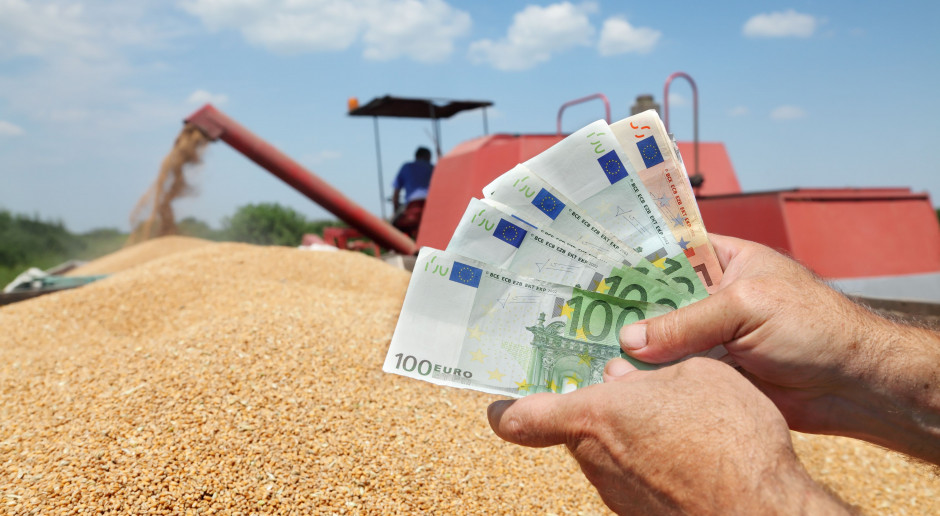 fot. Shutterstock Ardanowski o cenach na rynkach rolnych