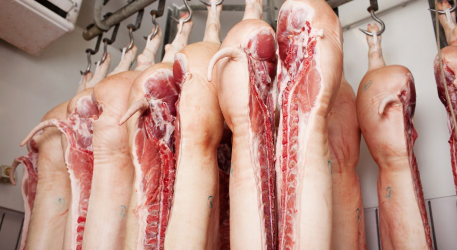 fot.Shutterstock.com BNP Paribas: Sytuacja na rynku sprzyja producentom wieprzowiny