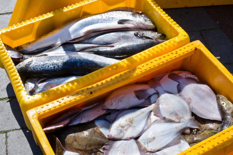 Limit środków, do którego ARiMR może przyznać pomoc w ramach naboru skierowanego do rybołówstwa morskiego, wynosi 28,3 mln zł, fot. Shutterstock