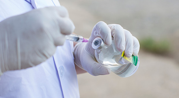 Projekt szczepień m.in. dla weterynarzy zwalczających koronawirusa u norek