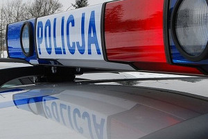 Policjanci odłowili żmiję, która zadomowiła się w kuchni