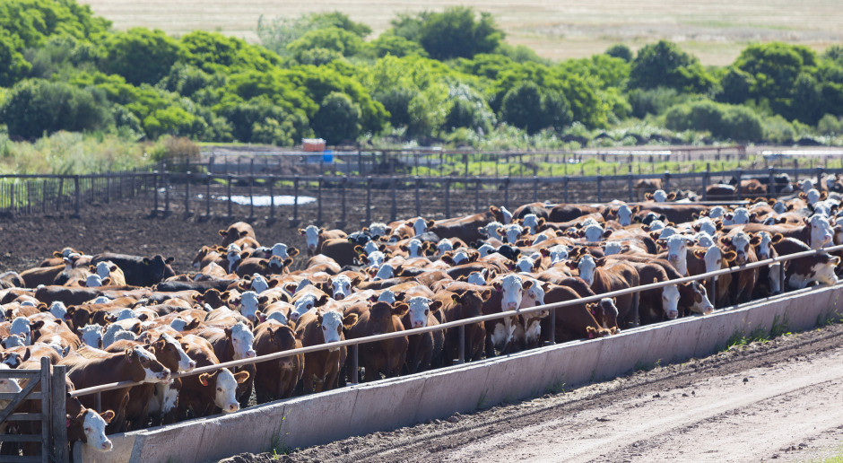 Fot. Shuttestock Negocjacje UE-Mercosur dobiegają końca