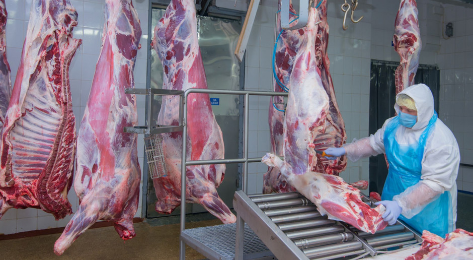 Fot. Shuttestock UE zatwierdziła fundusz pomocy dla irlandzkich producentów wołowiny