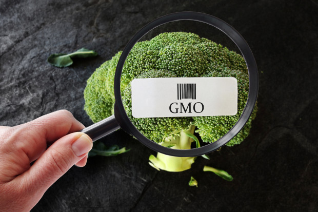 Znamy kandydatów do komisji ds. GMO