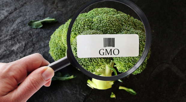 Resort rolnictwa ma projekty znaków graficznych dla produktów bez GMO