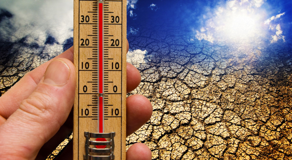 Fot. Shutterstock IMGW: w woj. lubuskim padł rekord temperatury czerwca w Polsce - 38,2 st.