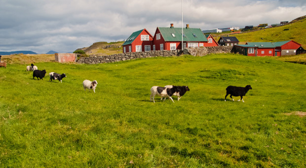 Dania: Od 2010 r. 33 proc. mniej pełnoetatowych gospodarstw