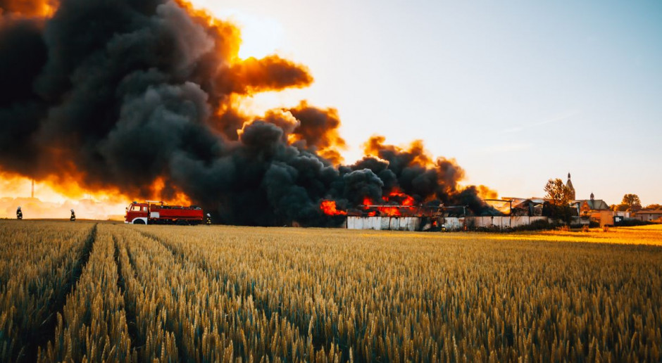 Płoną kombajny i pola; Fot. Shutterstock Płoną kombajny i pola