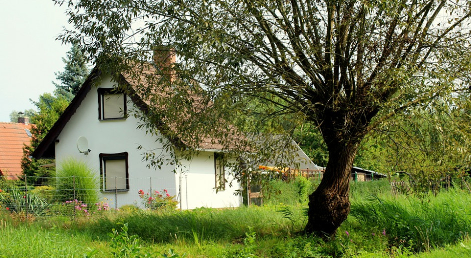 fot. Pixabay Komu pomoc na „Restrukturyzację” i dla „Młodych rolników”?