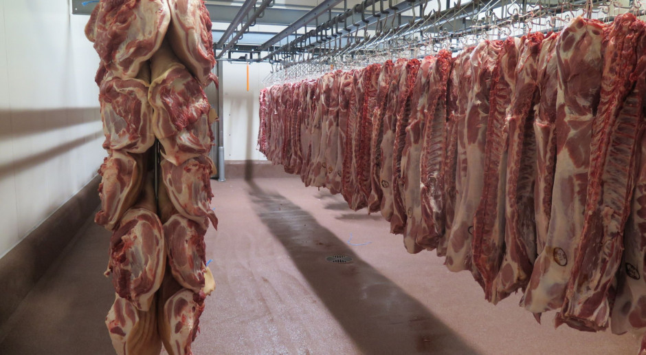 fot. I.Dyba Największy belgijski producent świń bazuje na kontraktach z hodowcami