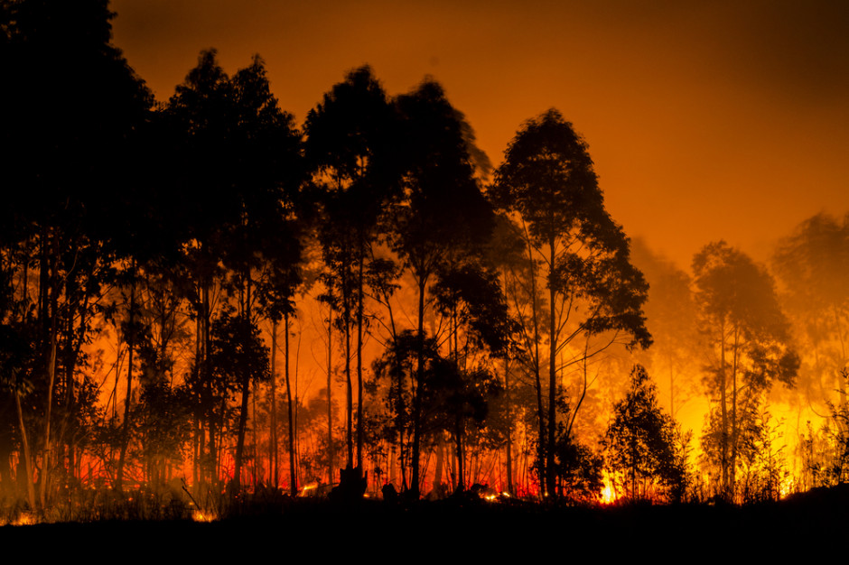 Pożar w Biebrzańskim Parku Narodowym w najbliższych dniach zostanie pokonany; Fot. pixabay