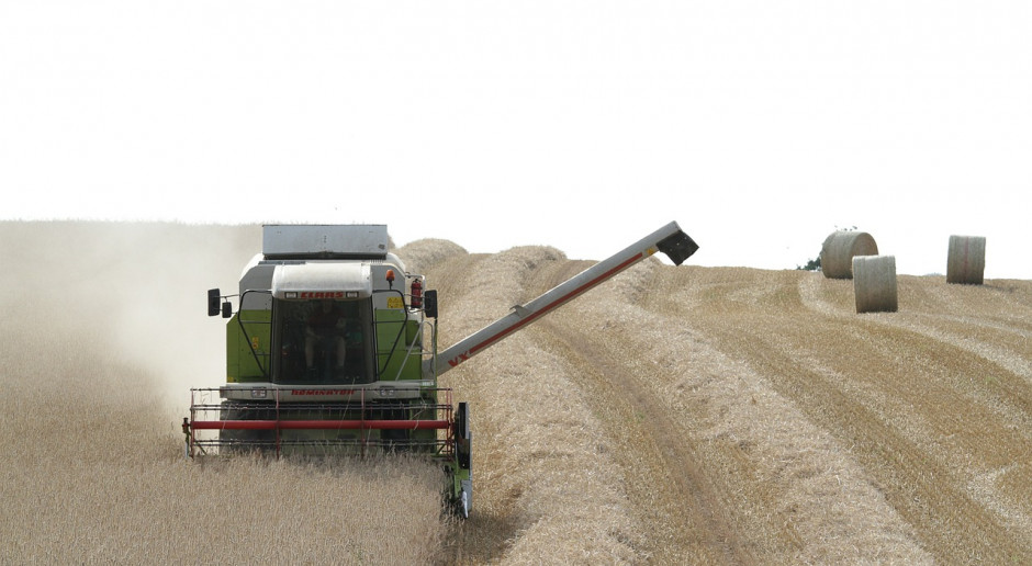 Fot.pixabay.com OECD i FAO oczekują, że ceny towarów rolnych spadną do 2028 roku