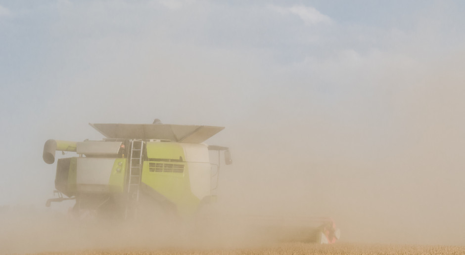 Fot. Shutterstock Ardanowski: Wystąpiłem do KE o pomoc suszową dla polskich rolników