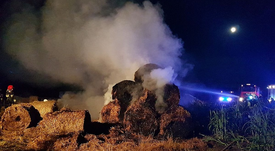 fot. PTWP Policja zatrzymała 29-letniego podpalacza słomy